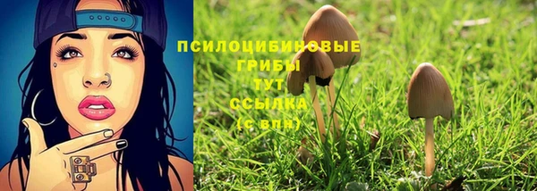 spice Киренск