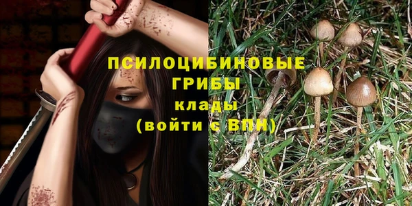 spice Киренск