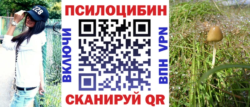 Галлюциногенные грибы мухоморы  Купить закладки  Фрязино 